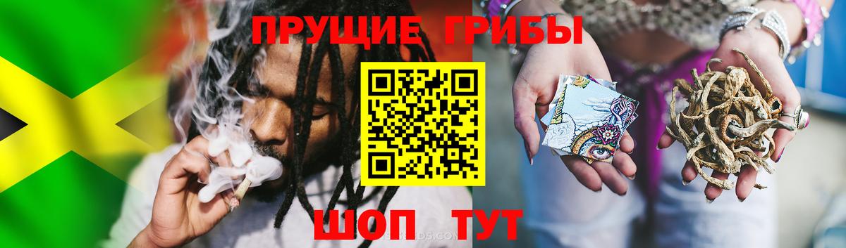 Псилоцибиновые грибы MAGIC MUSHROOMS Королёв